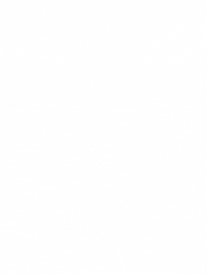 ランキング 堀之内ソープ嬢