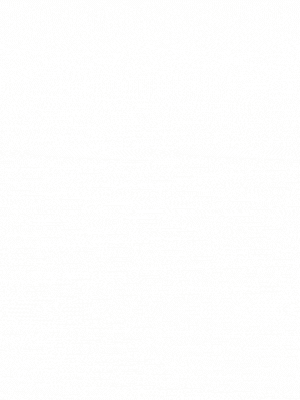 ランキング 金津園ソープ ソープ嬢ランキング