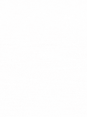 ランキング ソープ嬢 吉原